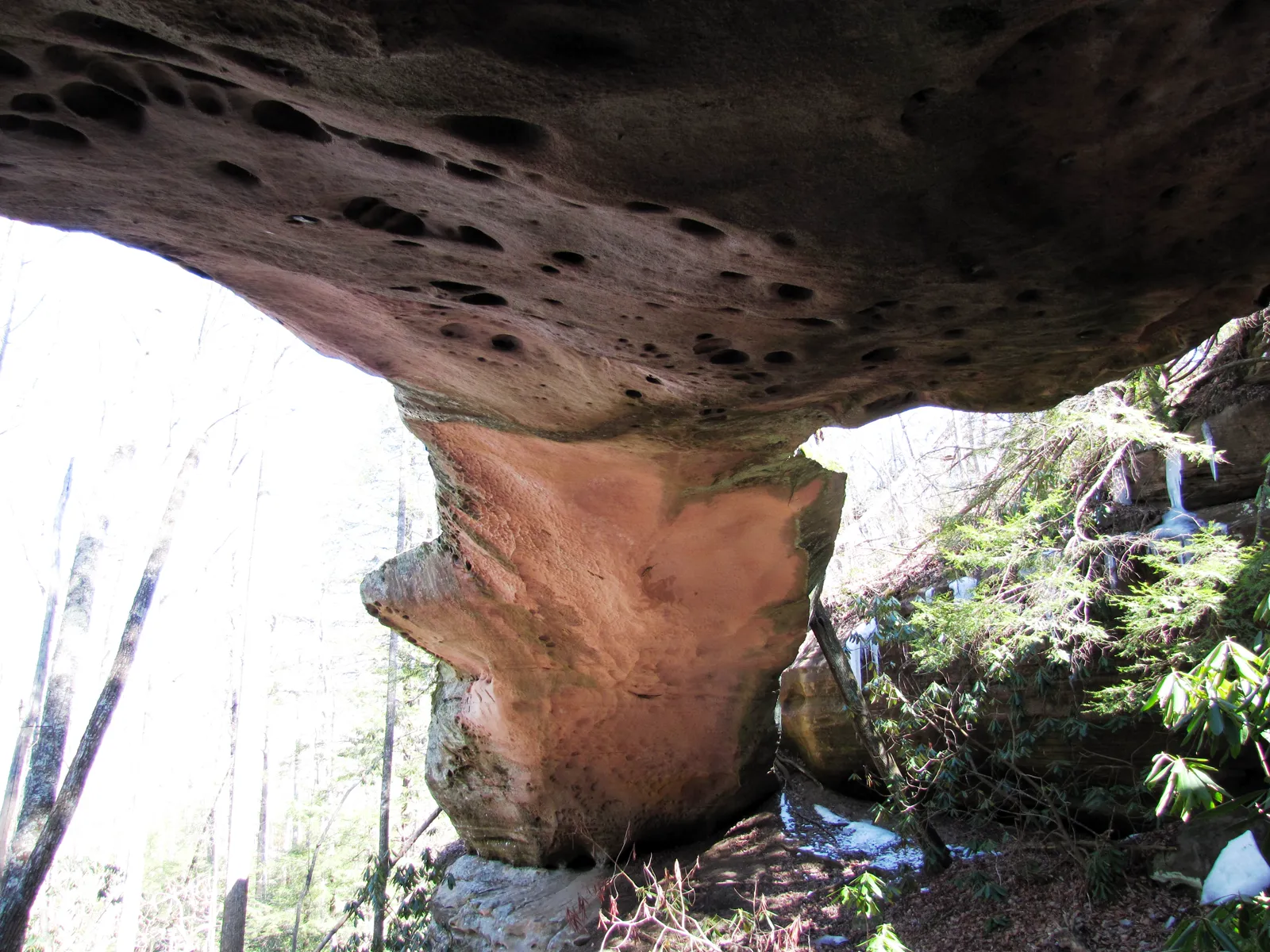Natural sandstone bridge at Pickett CCC Memorial State Park, viewed from beneath